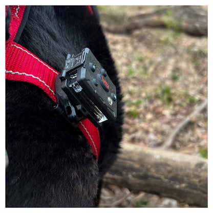  Snap-Lock Mount (Dog/K9 Safety)